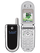 Best available price of Motorola V186 in Thailand