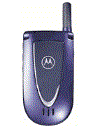 Best available price of Motorola V66i in Thailand