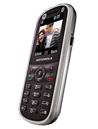 Best available price of Motorola WX288 in Thailand